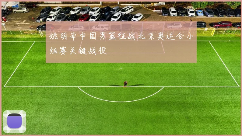 姚明率中国男篮征战北京奥运会小组赛关键战役
