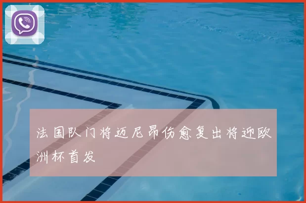 法国队门将迈尼昂伤愈复出将迎欧洲杯首发