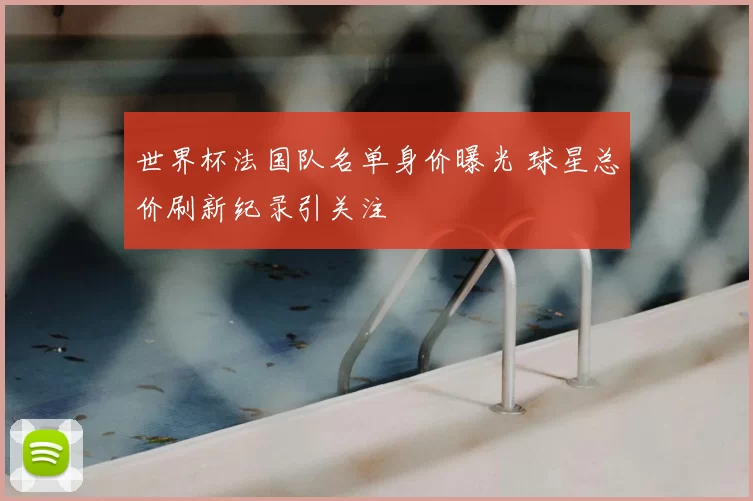 世界杯法国队名单身价曝光 球星总价刷新纪录引关注