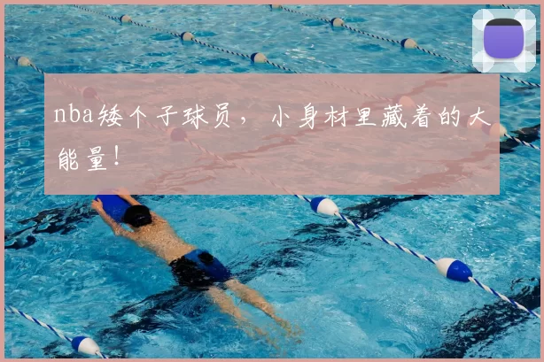 nba矮个子球员，小身材里藏着的大能量！