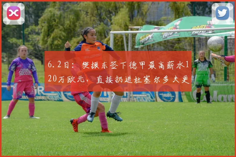 6.2日：樊振东签下德甲最高薪水120万欧元，直接扔进杜塞尔多夫更衣室_中国国家队_欧洲_比赛